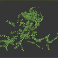 Modern vine branch wood branch dead branch 3d model