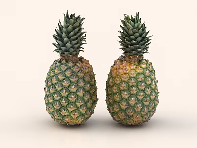 Two Fresh Ripe Pineapples With Green Tops On Light Background 3d model