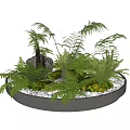 Bonsai Potted Plant With Various Green Ferns Decorative Stones And White Pebbles In Round Container