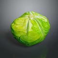Fresh Organic Green Cabbage With Crisp Vibrant Leafy Layers On Dark Background