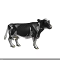 Two Black And White Dairy Cows Standing In White Background Scene 3d model