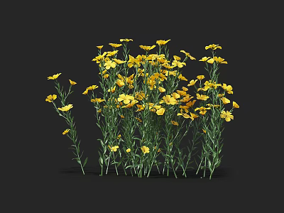 Vibrant Yellow Flowers With Green Stems And Leaves Against Black Background 3d model