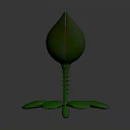 Cute Cartoon Style Green Plant With Unopened Bud And Leaf Structure Design