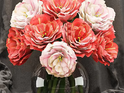 Beautiful Red Pink Flowers Arrangement in Transparent Glass Vase with Textured Background 3d model