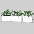 Three White Planters With Green Leafy Potted Plants Arranged In A Row 3d model
