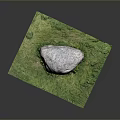 Natural Outdoor Scene With Large Rock On Green Grass And Small Plants