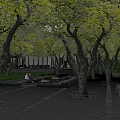 Modern Garden Landscape Design With Trees Seating Fire Pits And Green Lawn