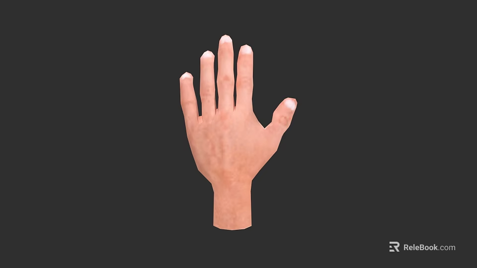Realistic 3D Rendered Detailed Human Hand With Natural Skin Texture And Extended Fingers 3d model 