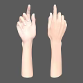 Detailed Human Arms and Hands with Fingers Pointing Up in Neutral Gray Background Anatomical Model