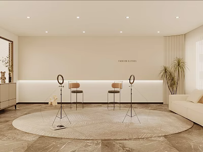Modern Home Studio Setup with Ring Light Stands Chairs Round Rug and Potted Plant 3d model