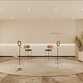 Modern Home Studio Setup with Ring Light Stands Chairs Round Rug and Potted Plant