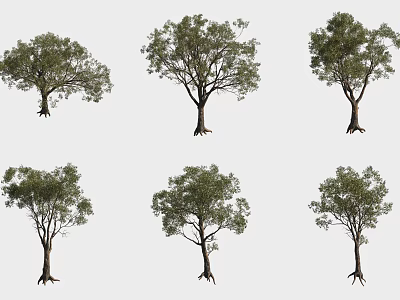 Various Shrub Varieties For Garden Landscaping With Green Foliage And Natural Shapes 3d model