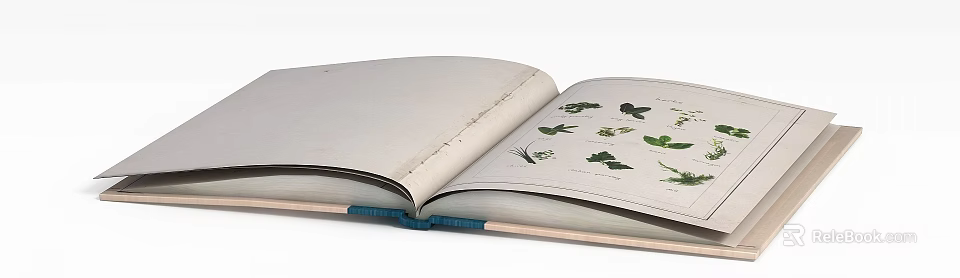 Stylish Storage Cabinet Featuring Plant Illustrations And Blue Design Accents 3d model 