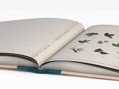 Stylish Storage Cabinet Featuring Plant Illustrations And Blue Design Accents 3d model