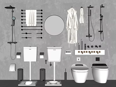 Modern Bathroom Toilet Design with Washbasin Towel Rack Mirror and Shower Accessories 3d model