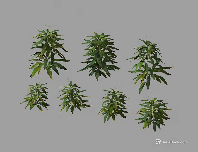 Six Different Green Leafy Shrub Varieties in Various Sizes For Garden Landscaping 3d model 