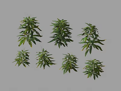 Six Different Green Leafy Shrub Varieties in Various Sizes For Garden Landscaping 3d model