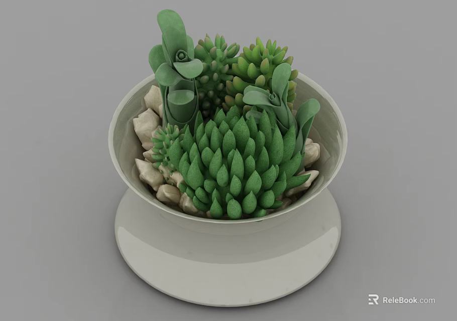 Lush Green Bonsai Potted Plant With Various Succulents White Ceramic Pot And Small Stones 3d model 