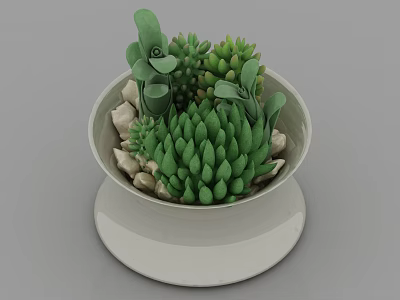 Lush Green Bonsai Potted Plant With Various Succulents White Ceramic Pot And Small Stones 3d model