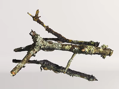modern branch trunk dead wood wood 3d model modern branch trunk dead wood wood 3d model