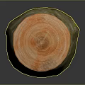 Natural Tree Stump with Cross Section Growth Rings and Green Moss on Dark Background