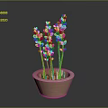 Fresh Purple Lavender Plant In Terracotta Pot For Indoor Home Decor