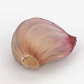 Single Fresh Garlic Clove With Light Brown And Purple Stripes Natural Texture Root End