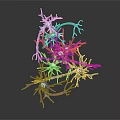 3D Rendered Organ and Hair Structure Featuring Branching Fibers Glowing Blue Nodes Purple Strands