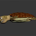 3D Rendered Turtle With Brown Patterned Shell Yellow Flippers And Big Eyes