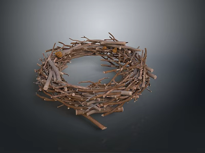 Bird Nest Crafted From Intertwined Branches With Natural Circular Shape 3d model
