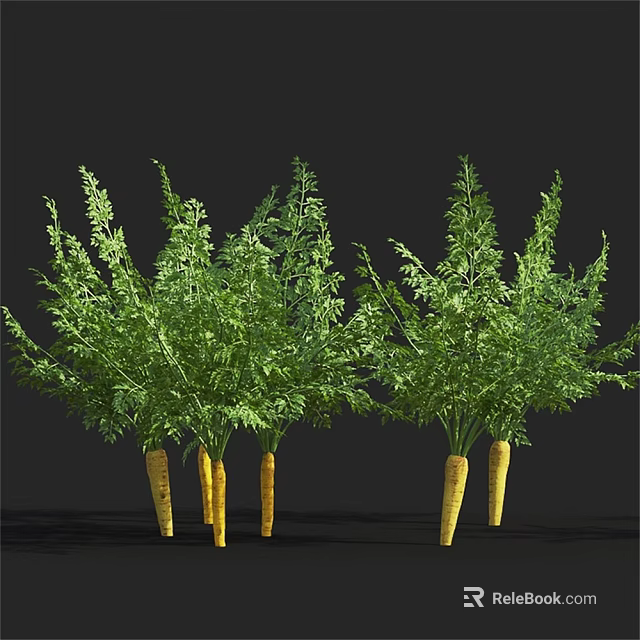 Fresh Carrot Bunches With Green Leafy Tops And Orange Roots On Black Background 3d model 