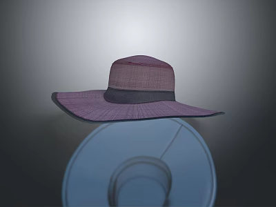 Purple Wide Brimmed Straw Hat With Dark Band Stylish Summer Fashion Accessory 3d model