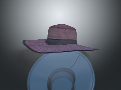 Modern hat straw hat woven hat sunshade hat 3d model