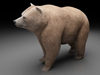 Realistic Brown Bear 3D Model In Standing Pose With Detailed Fur And Gradient Background 3d model