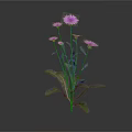 Vibrant Plant with Multiple Purple Flowers Green Leaves and Slender Stems