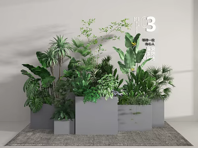 Stylish Indoor Potted Plants With Various Green Leaves In Gray Planters On Decorative Carpet 3d model