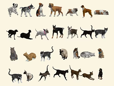 Different Types of Reptiles Such as Snakes Lizards Turtles and Crocodiles 3d model