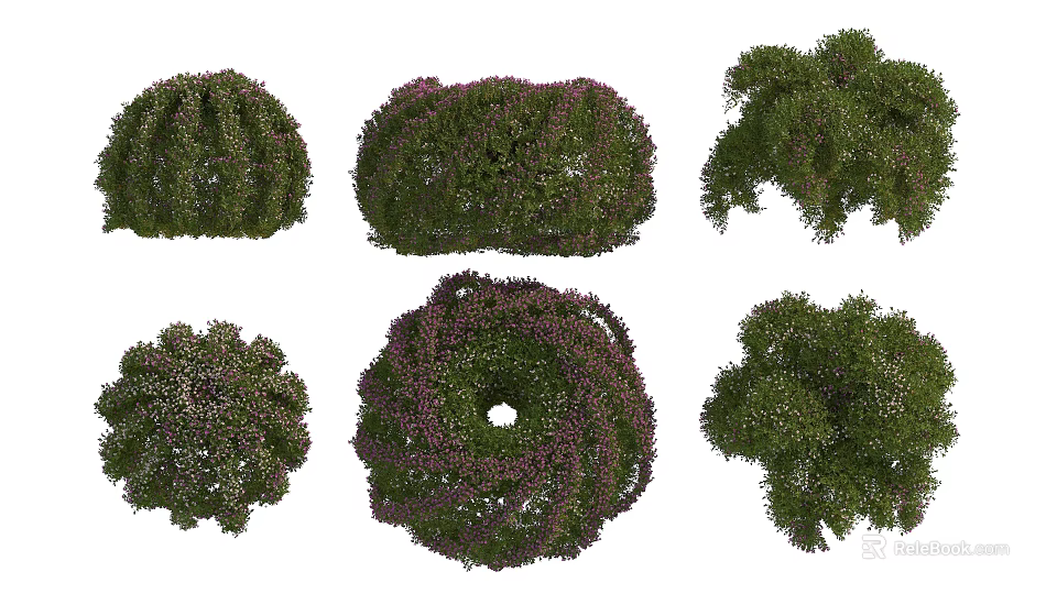 Various Shaped Decorative Shrubs With Colorful Foliage For Garden Landscaping 3d model 