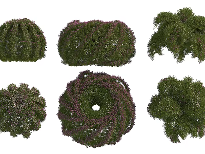 Various Shaped Decorative Shrubs With Colorful Foliage For Garden Landscaping 3d model
