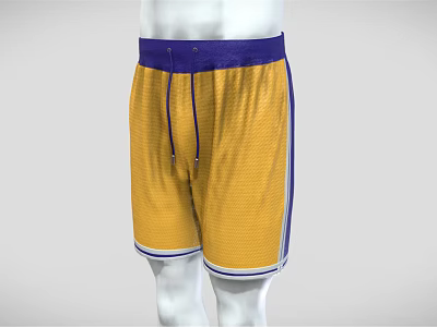Men's Modern Shorts 3d model