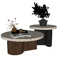 Coffee Table Side Table Low Table Decorative Table Coffee Table Plant Vase Ornaments Round Table 3d model