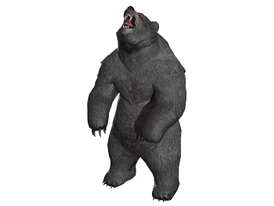 Standing Black Bear Roaring With Open Mouth And Sharp Claws 3d model