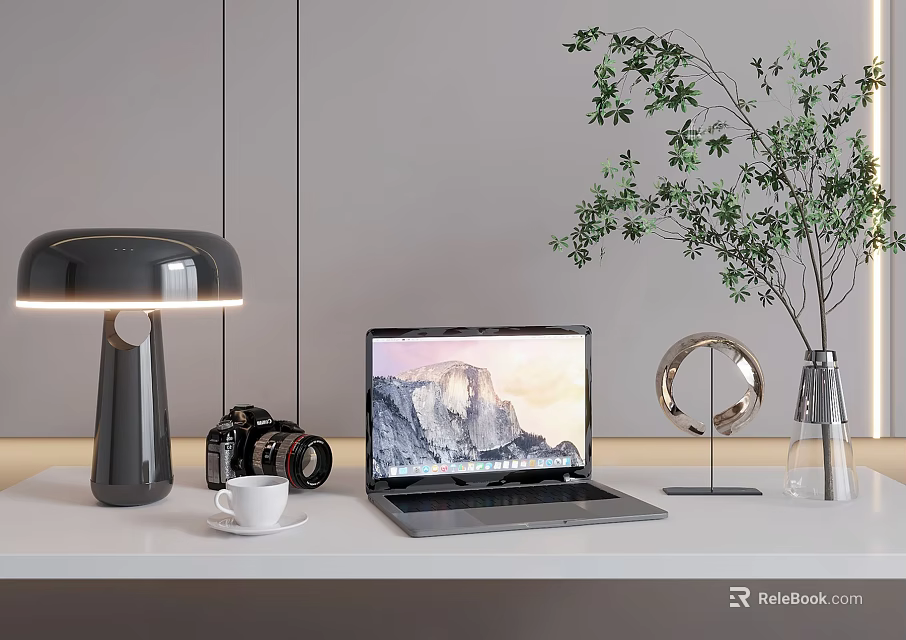 Modern Laptop on Office Desk with Lamp Camera Green Plant and Coffee Cup 3d model 