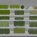 Lush Green Plant Combinations With Various Pruned Shapes For Garden Landscaping