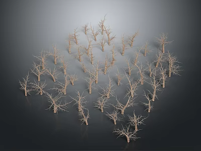 Dried Wood Branches Arranged in Circular Pattern with Dark Stone Background 3d model