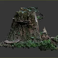 Green Plants Growing on Old Tree Stump with Moss and Small Mushrooms