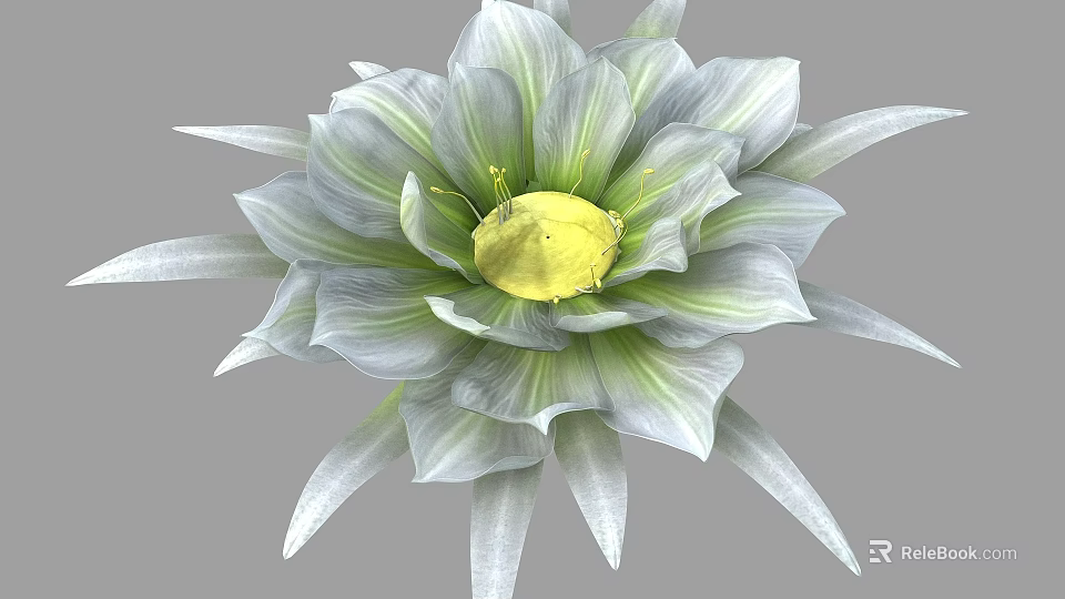 Stunning Vase Flower With Gray Green Petals And Yellow Center Design 3d model 