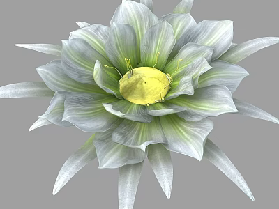 Stunning Vase Flower With Gray Green Petals And Yellow Center Design 3d model