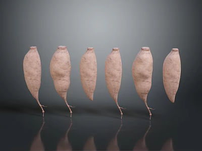 Six Fresh Sweet Potatoes Arranged With Reflections On Dark Background 3d model