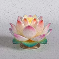 Colorful Lotus Lantern With Pink White Petals Yellow Center Green Leaves Golden Base